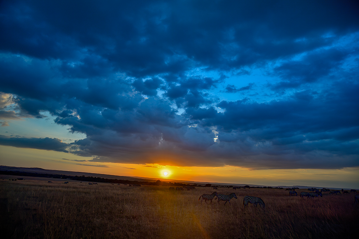 _5RG3836_20180730_183605_5368Masai Mara 2018_6643Masai Mara 2018.jpg