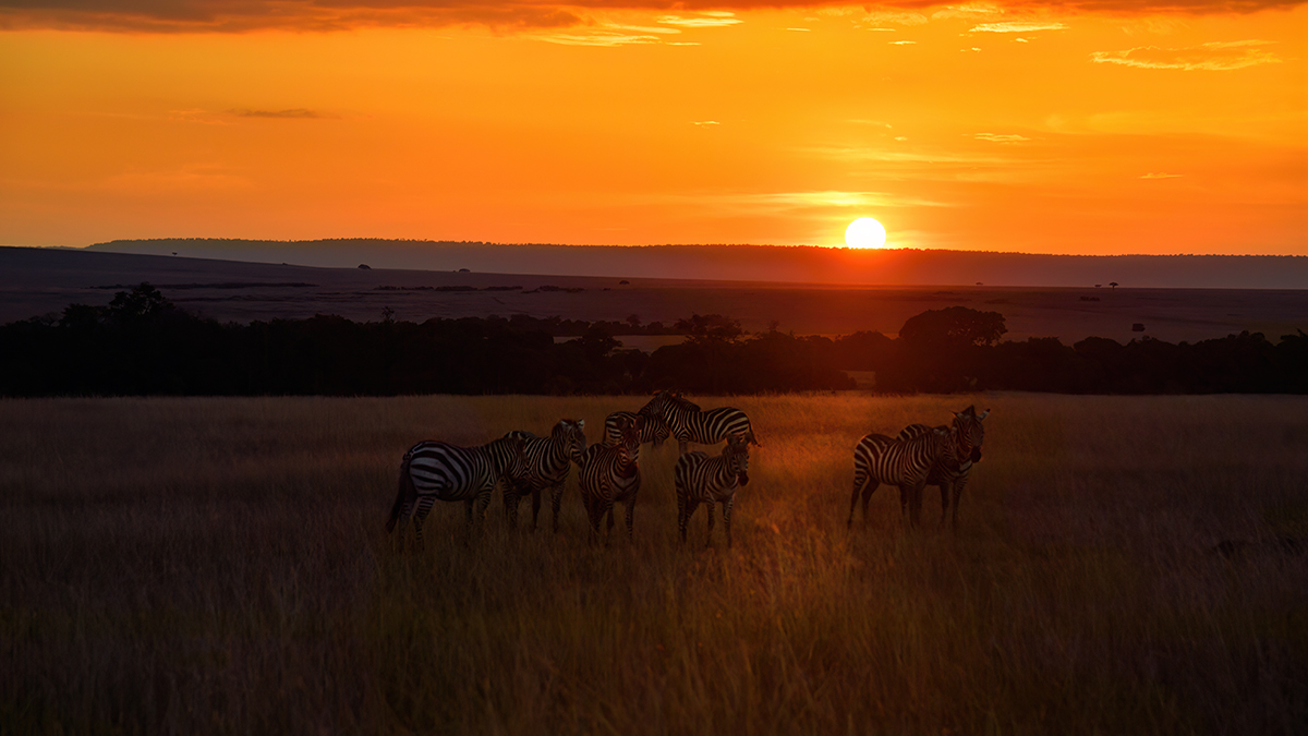 _5RG3860_20180730_184029_5371Masai Mara 2018_6646Masai Mara 2018.jpg