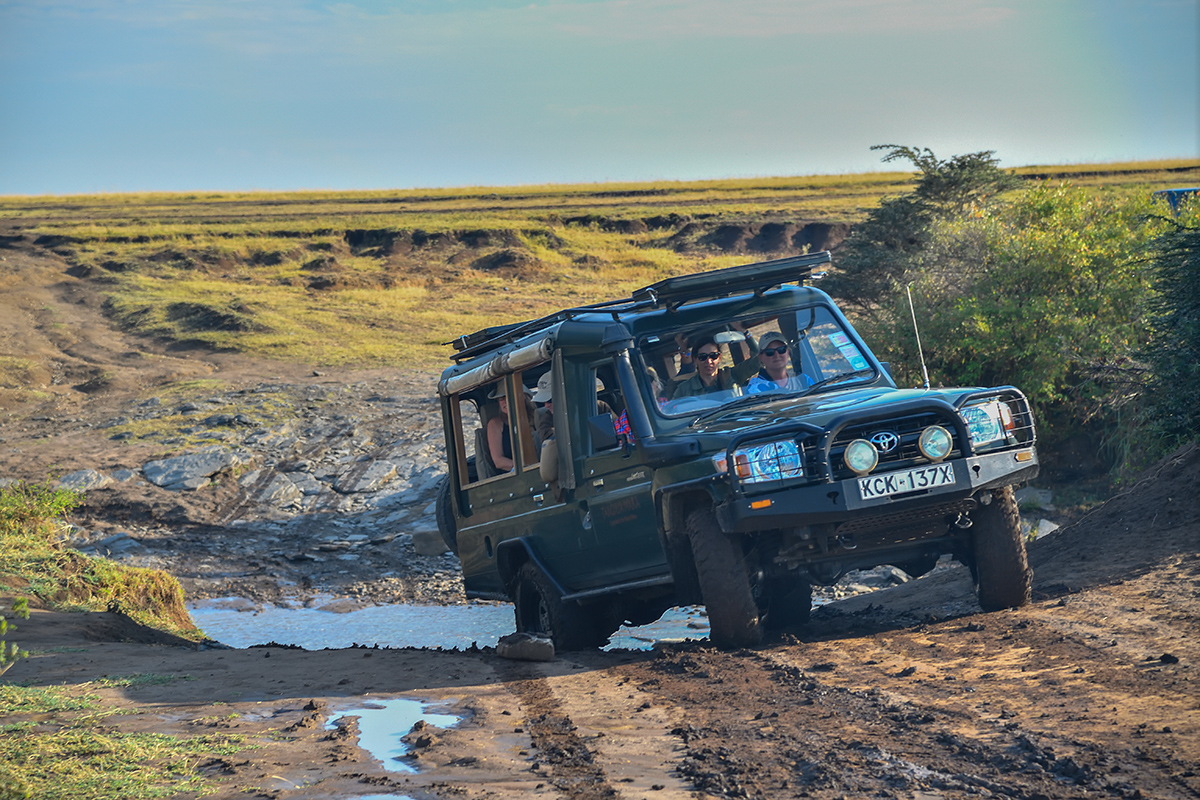 _5RG3911_20180731_081510_5375Masai Mara 2018_6765Masai Mara 2018.jpg