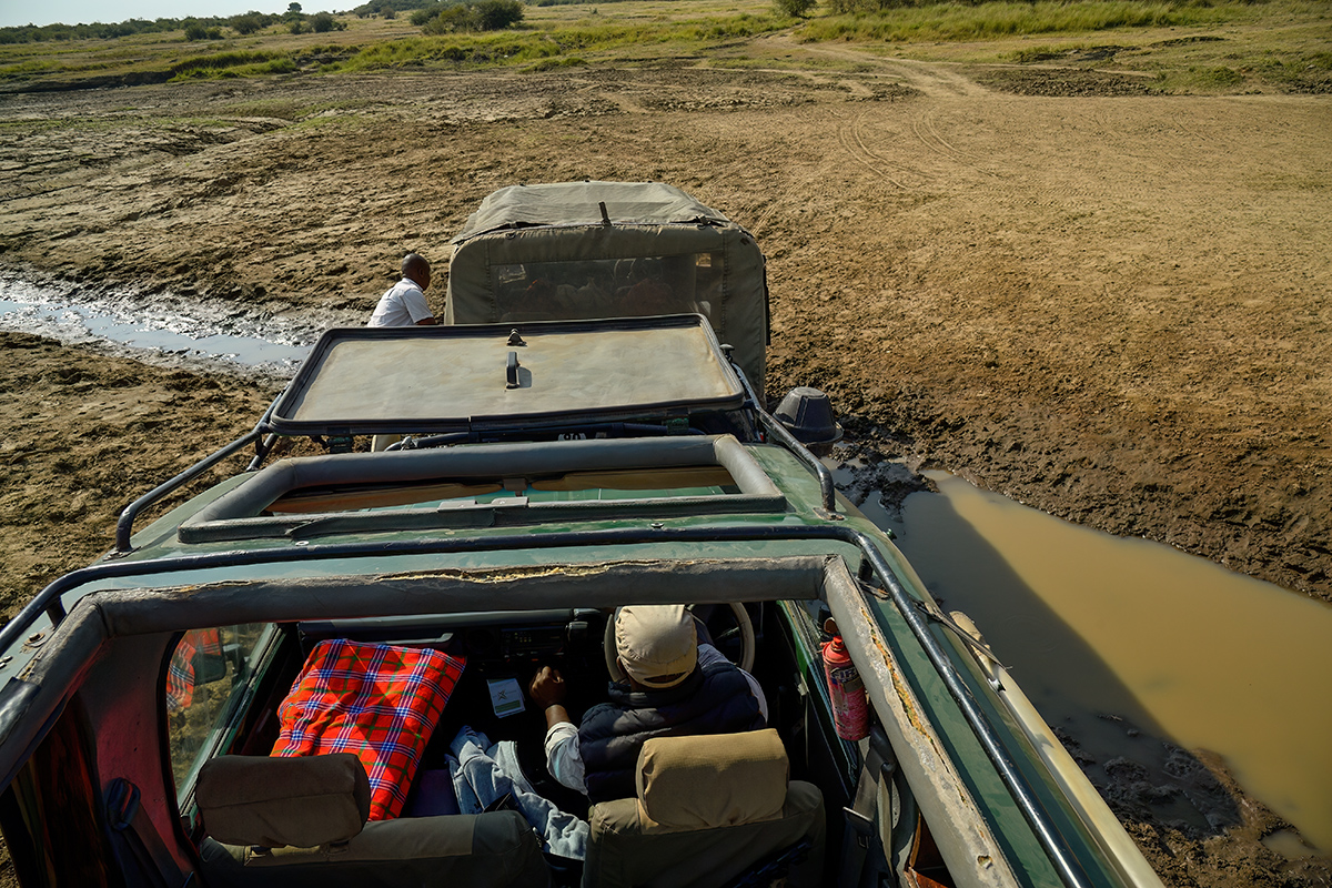 _5RG5547_20180721_093723_659Masai Mara 2018-1200.jpg