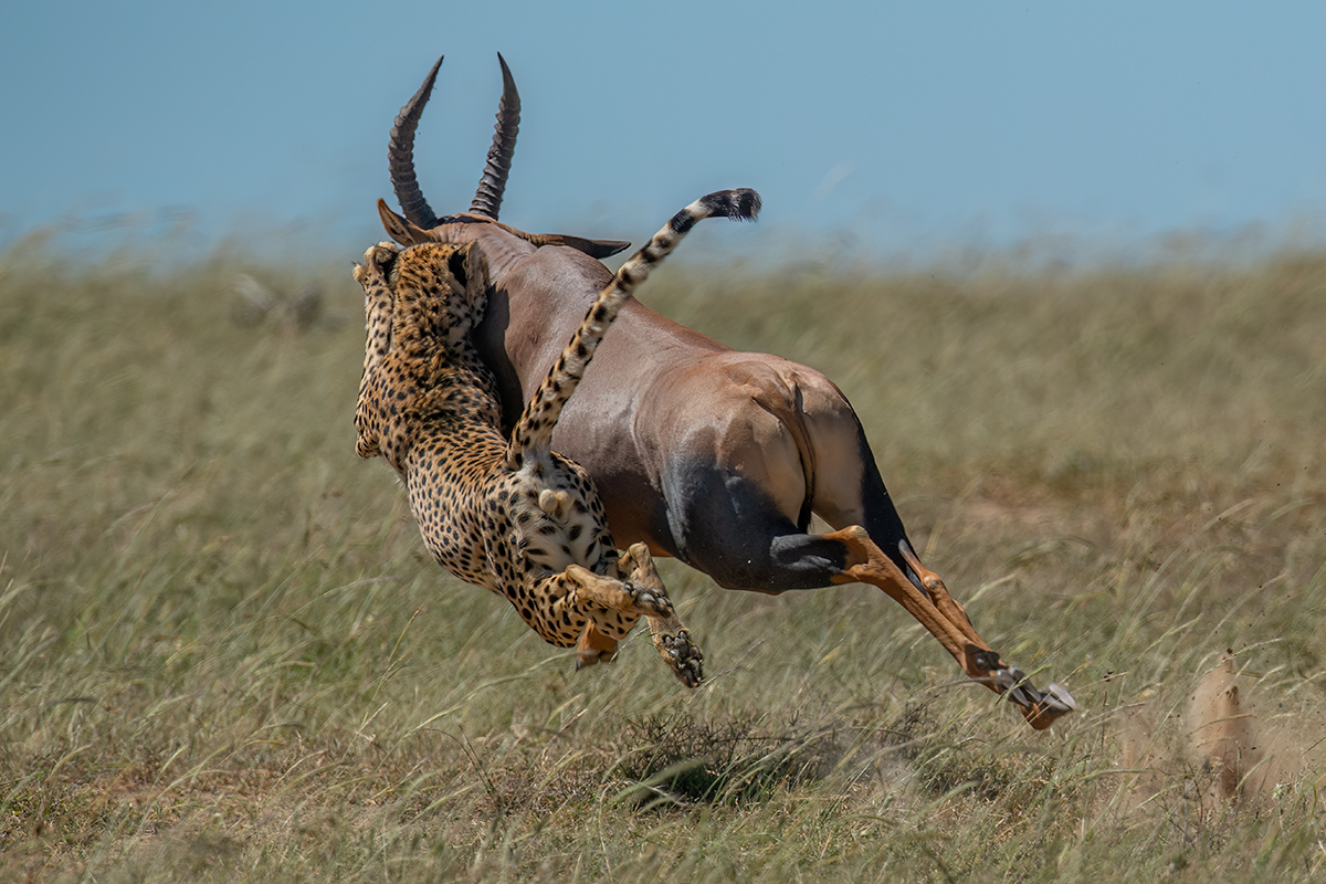 _5RG6283_20190213_104745Kenia2019_5RG6283-1200.jpg