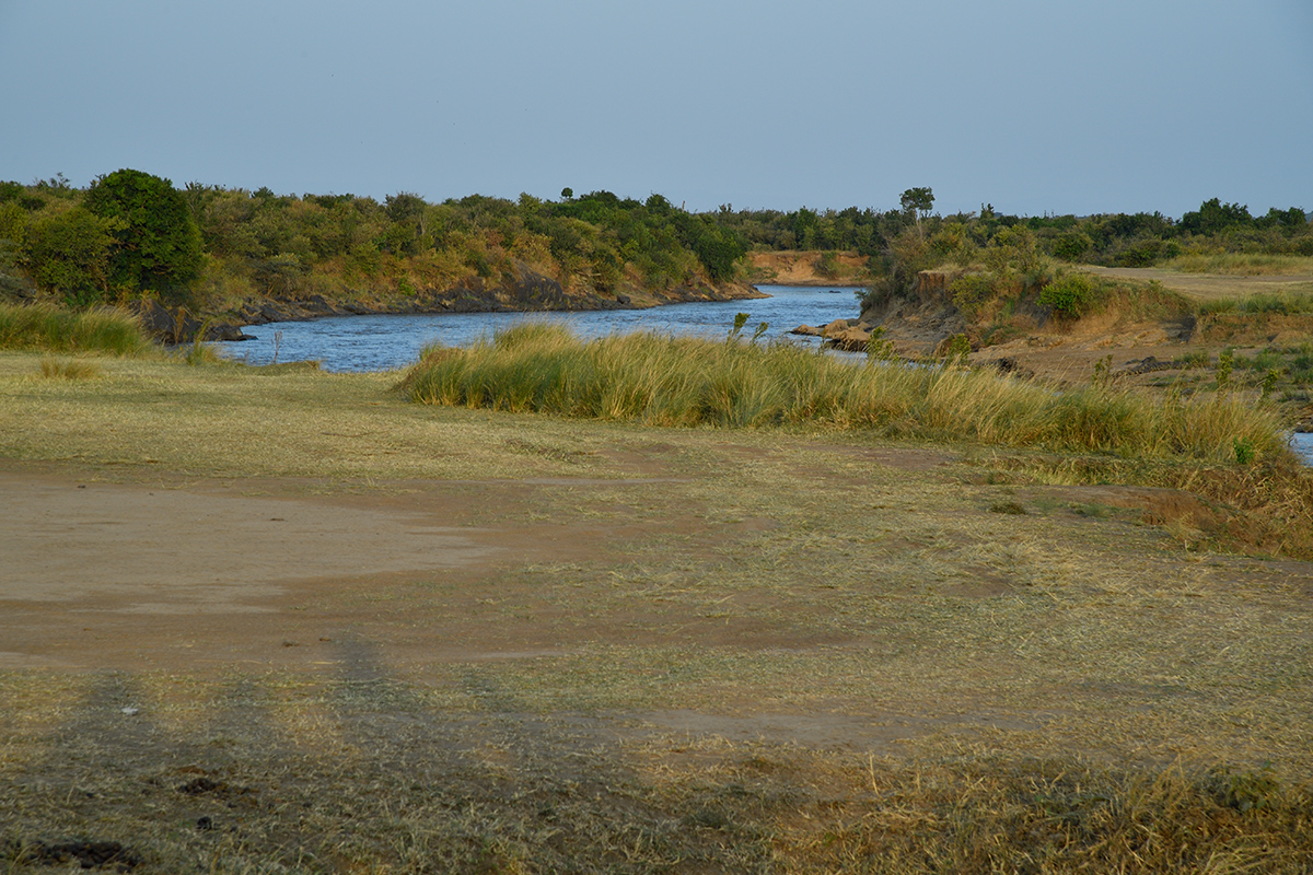 _5RG6491_20180721_181540_653Masai Mara 2018-1200.jpg