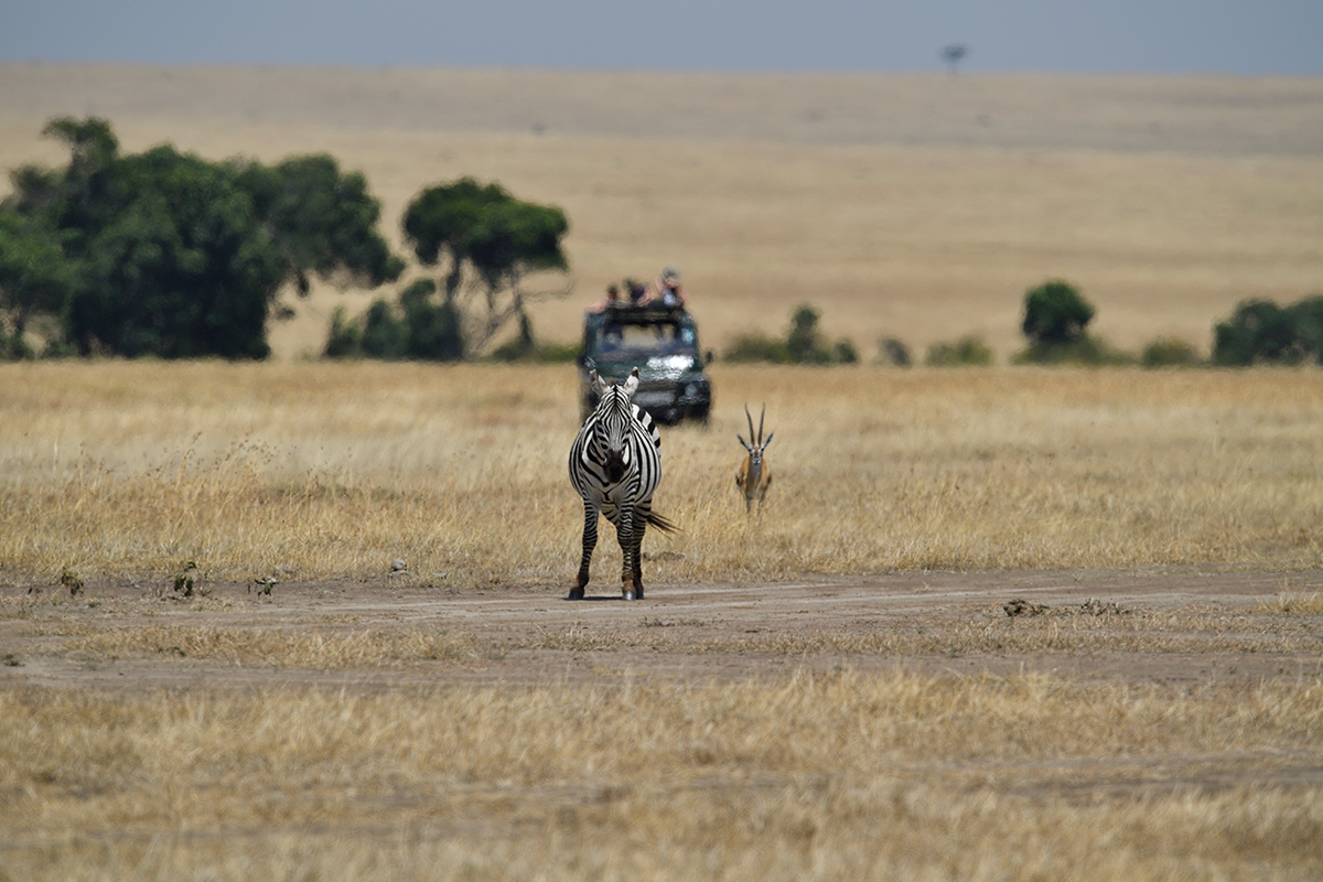 _5RG7049_20180726_120738_2753Masai Mara 2018_3602Masai Mara 2018.jpg