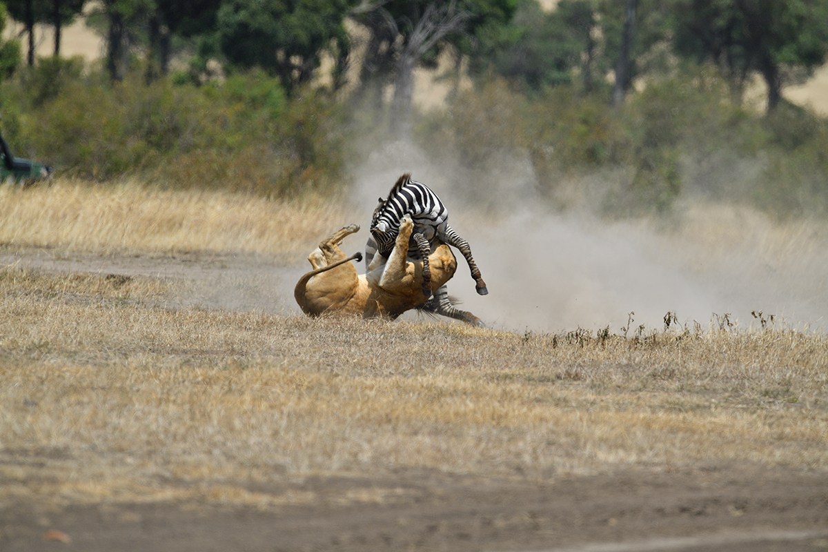 _5RG7125_20180726_121700_2826Masai Mara 2018_3675Masai Mara 2018.jpg