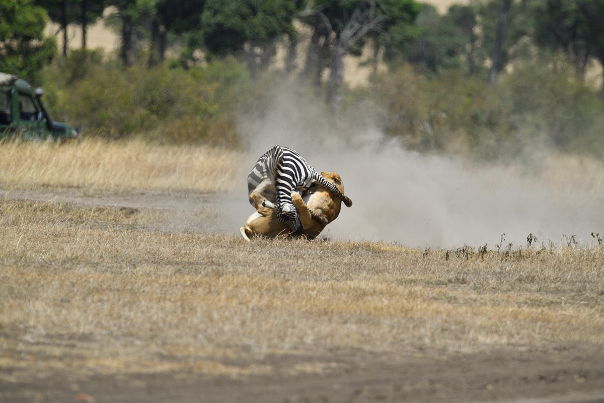 _5RG7130_20180726_121700_2831Masai Mara 2018_3680Masai Mara 2018.jpg