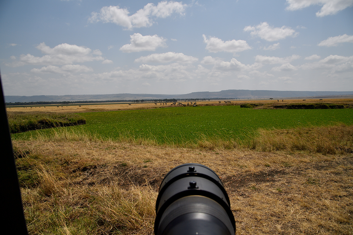 _5RG7344_20180726_125848_3001Masai Mara 2018_3850Masai Mara 2018.jpg