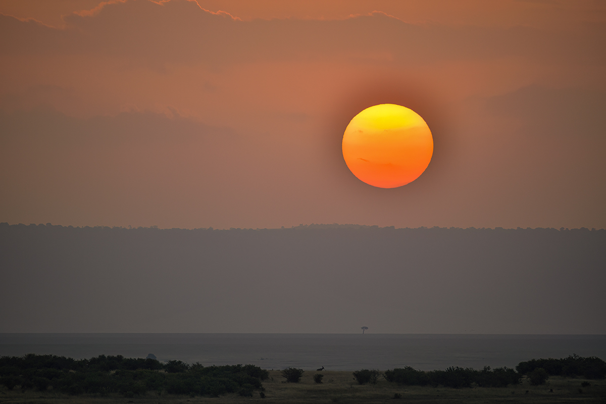 _5RG9195_20180722_183953_1948Masai Mara 2018-1200.jpg