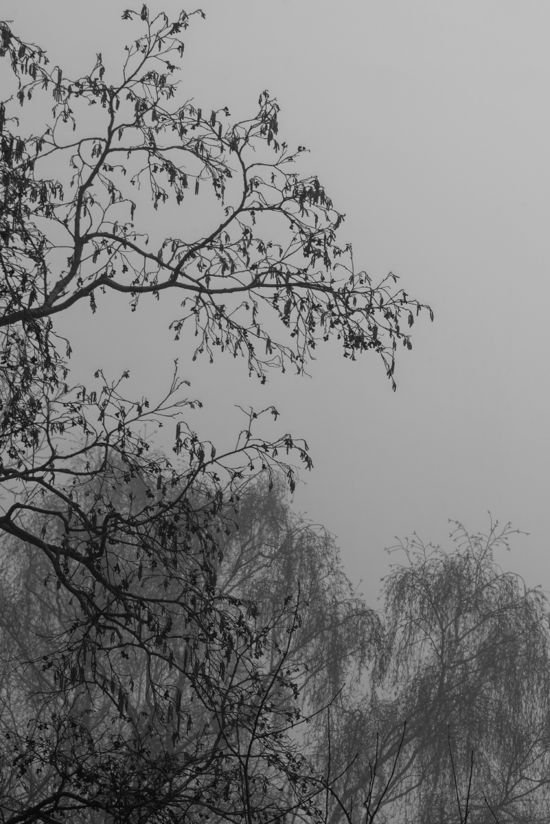_6005565_DxOAxl.jpg