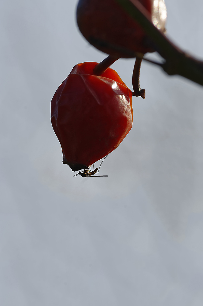 _7004574_DxoAxl.jpg