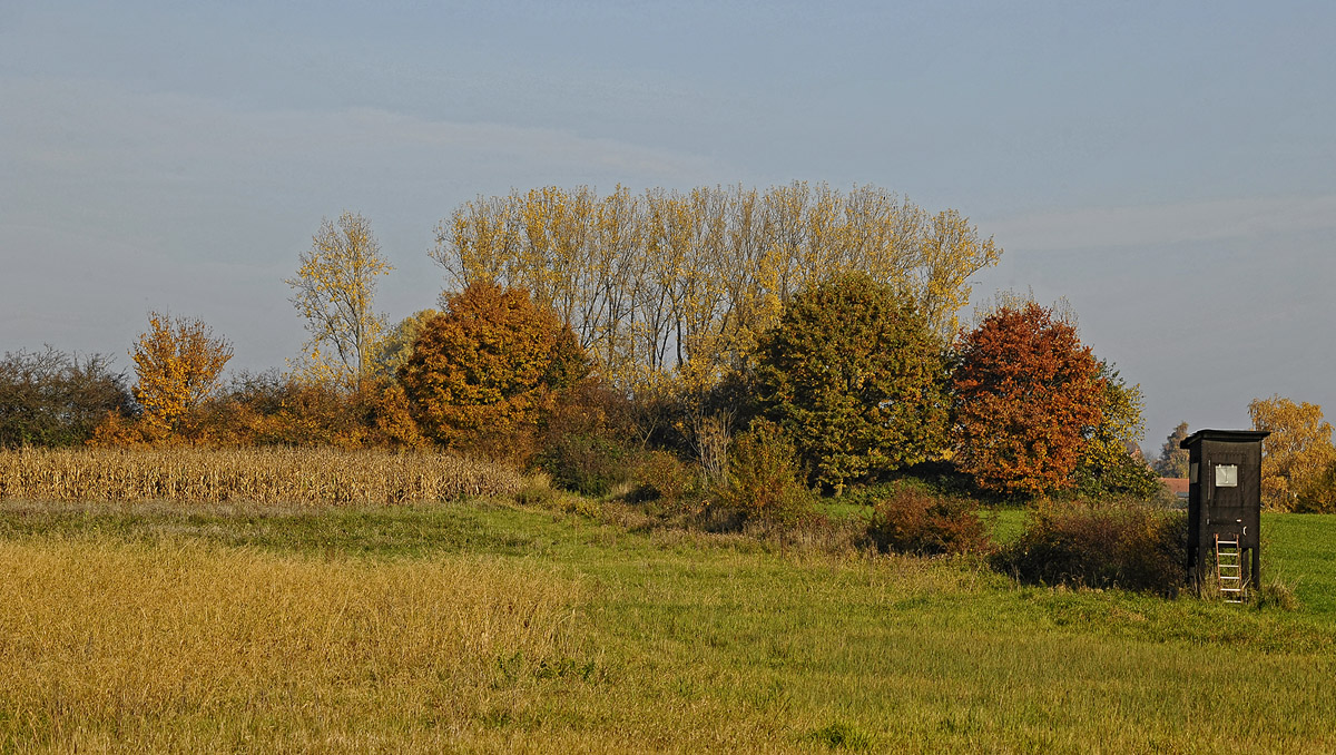_7006343KPxl.jpg