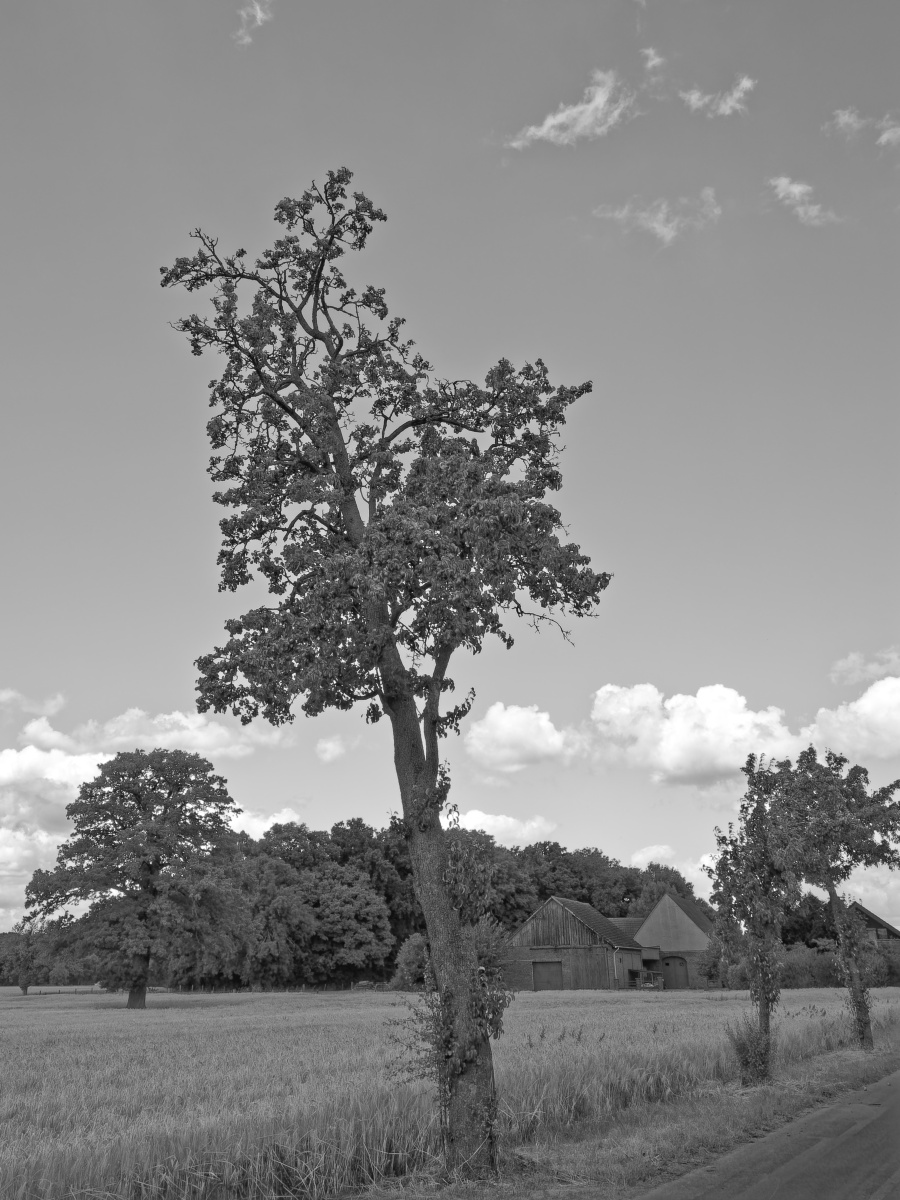 _7030100_DxOPASWxl.jpg