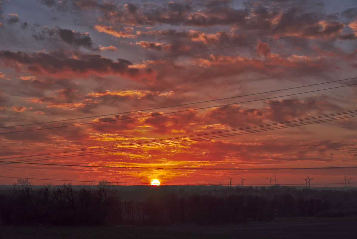 _75D0277.jpg