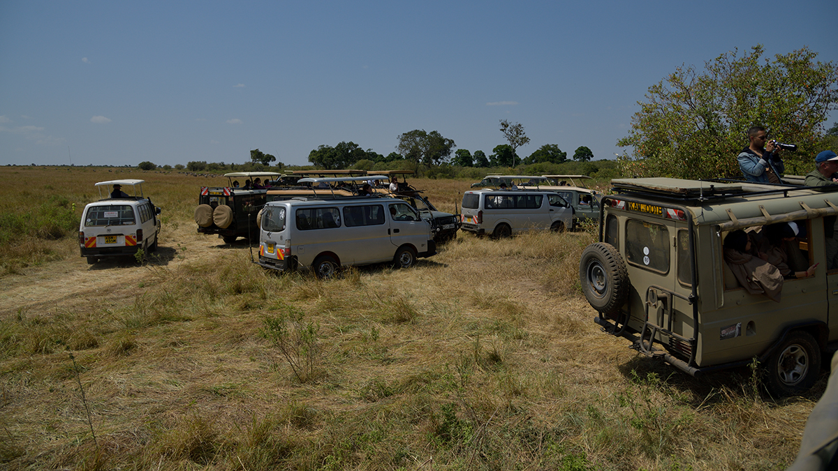 _85R3228_20180724_115612_2441Masai Mara 2018_3414Masai Mara 2018-1200.jpg