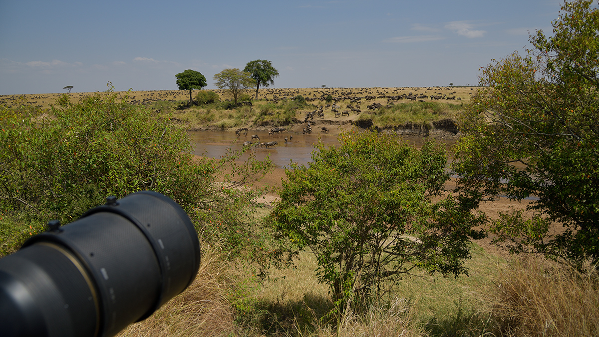 _85R3232_20180724_115633_2442Masai Mara 2018_3415Masai Mara 2018-1200.jpg
