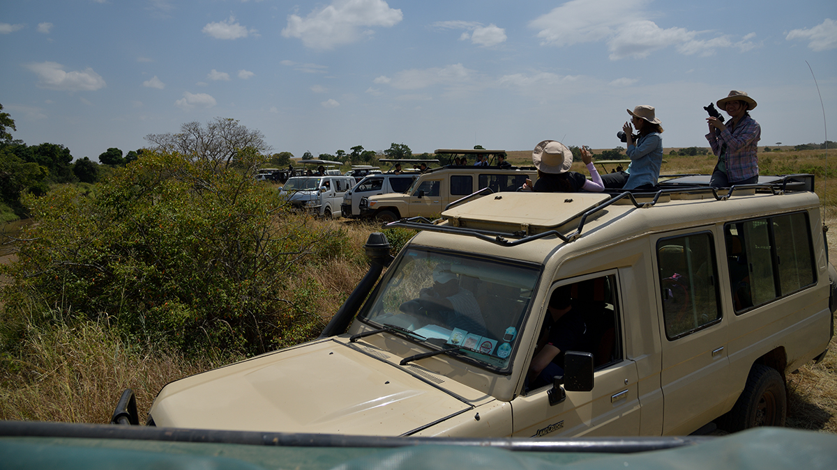 _85R3243_20180724_115708_2445Masai Mara 2018_3418Masai Mara 2018-1200.jpg