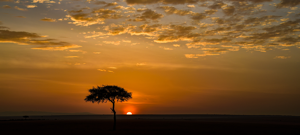 _85R4909_20180728_064936_4360Masai Mara 2018_7316Masai Mara 2018.jpg