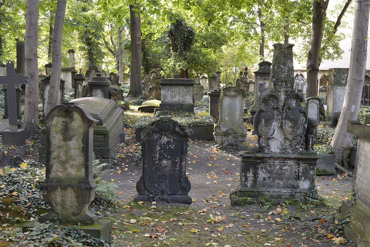 _AG11603.jpg
