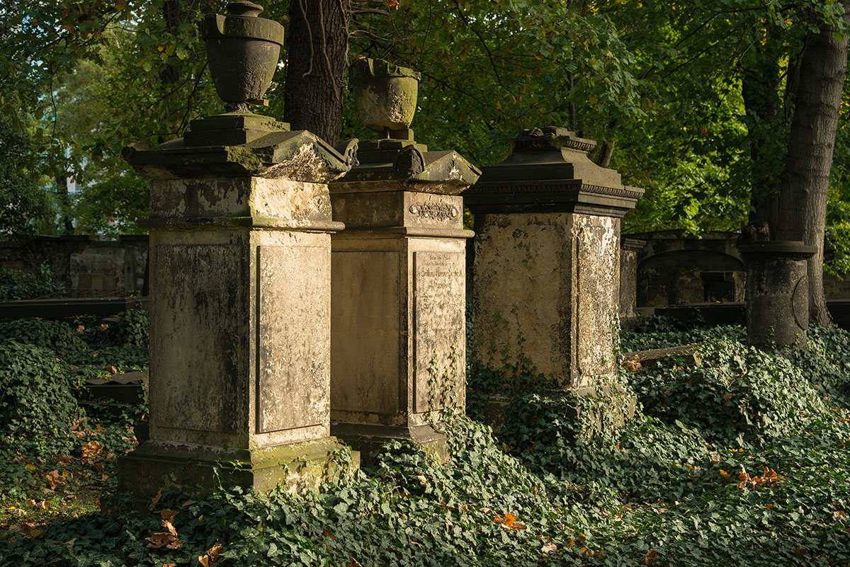 _AG11622.jpg