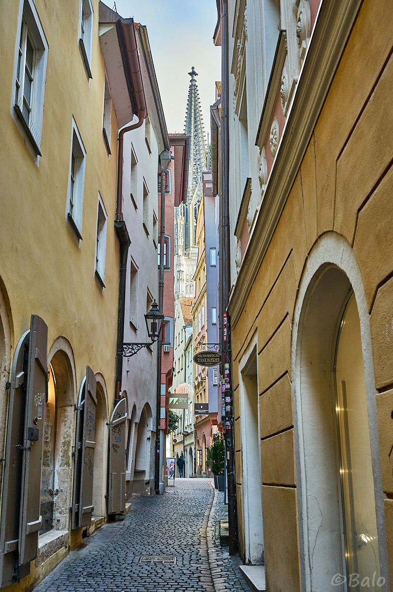 _AZ64106.jpg