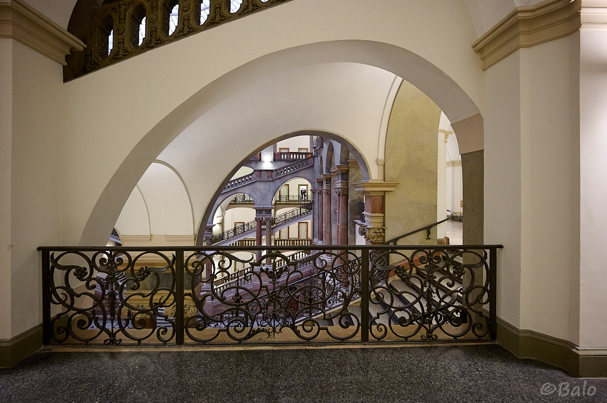 _AZ64995.jpg