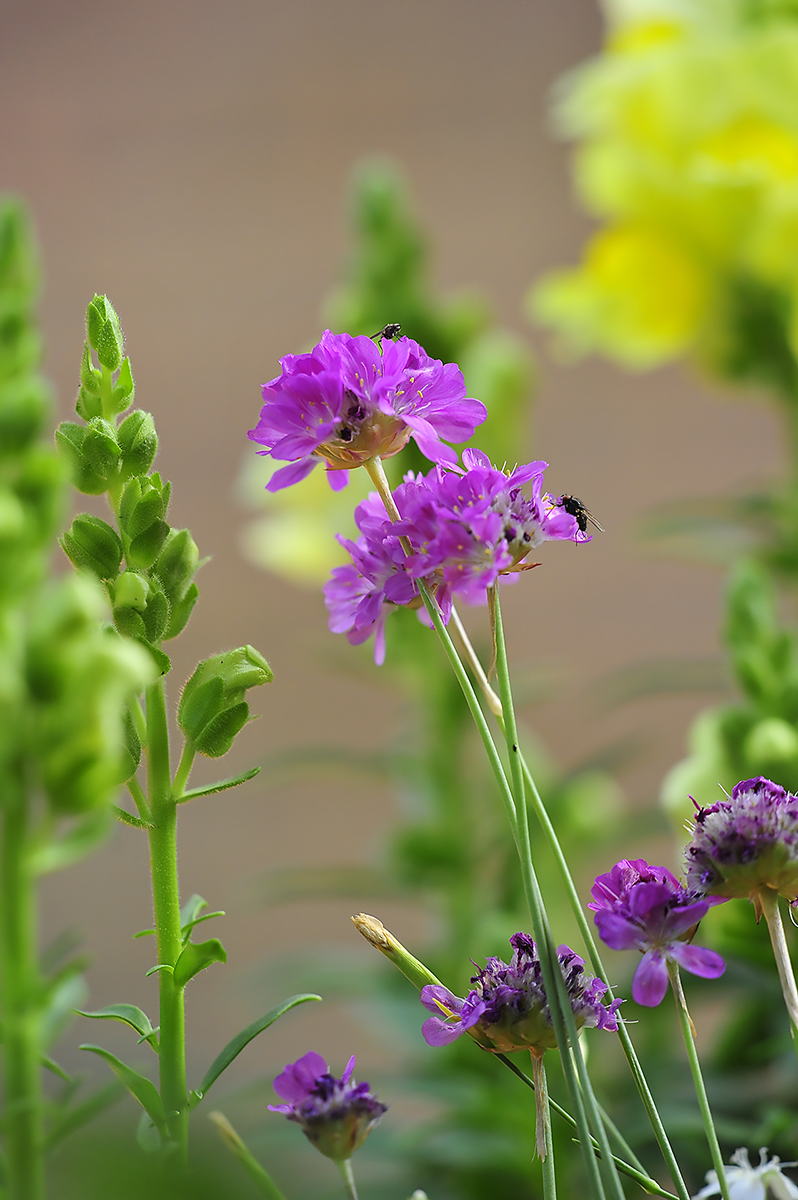 _D3S3177Sxl.jpg