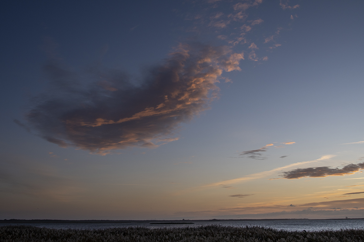 _D508422.jpg