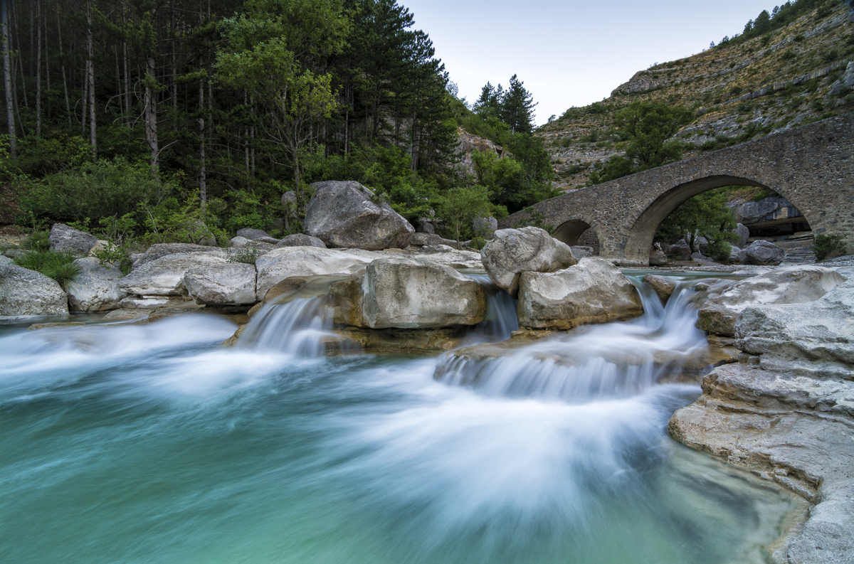 _D715167-Bearbeitet-2-Bearbeitet-Bearbeitet.jpg