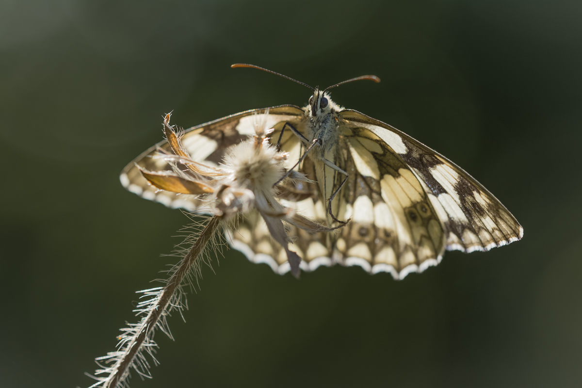 _D715491-Bearbeitet.jpg