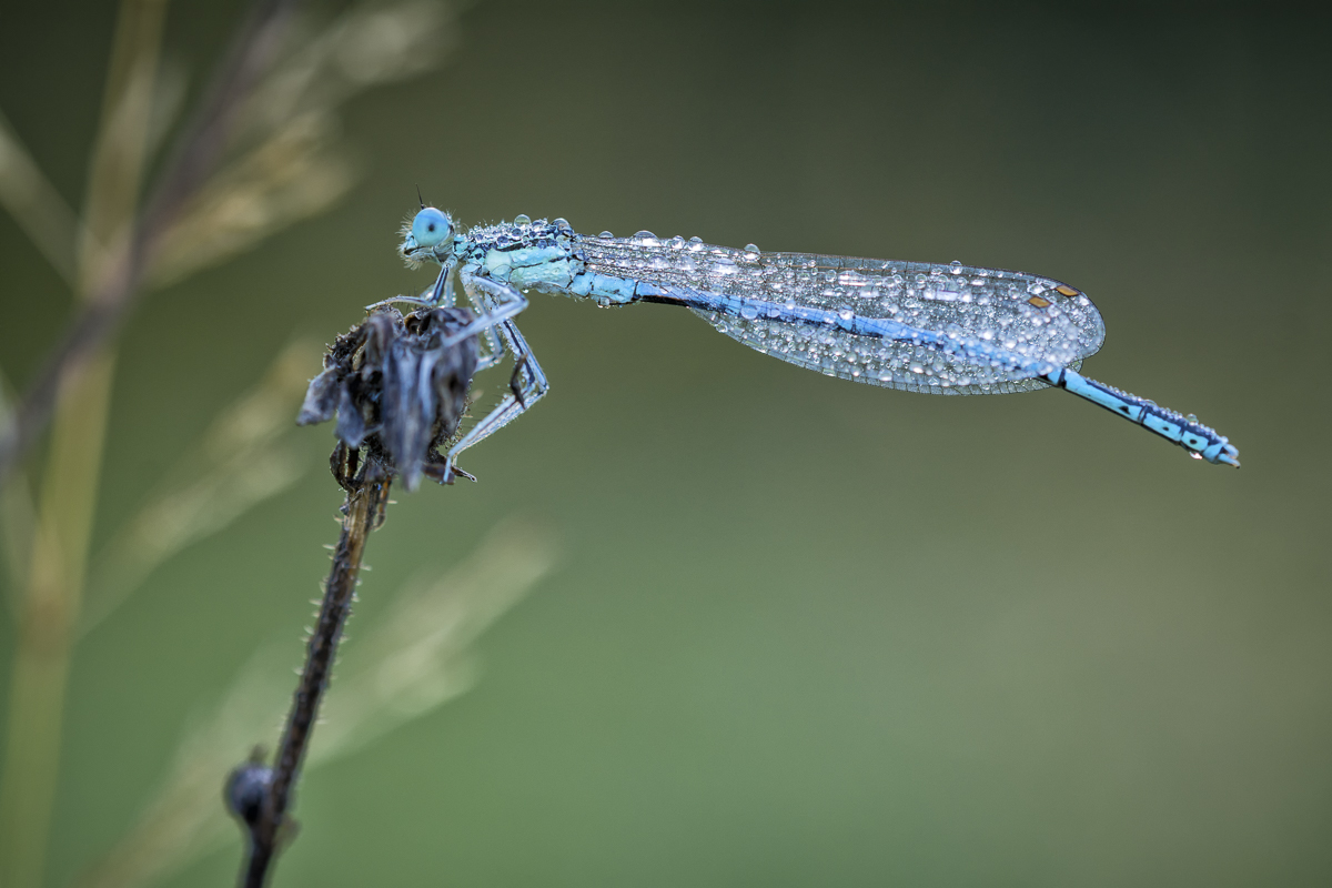 _D715528-Bearbeitet-3-Bearbeitet-Bearbeitet.jpg