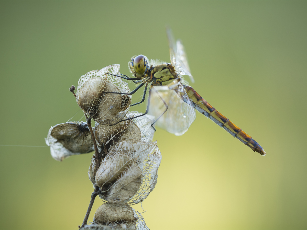 _D715538-Bearbeitet-3-Bearbeitet.jpg