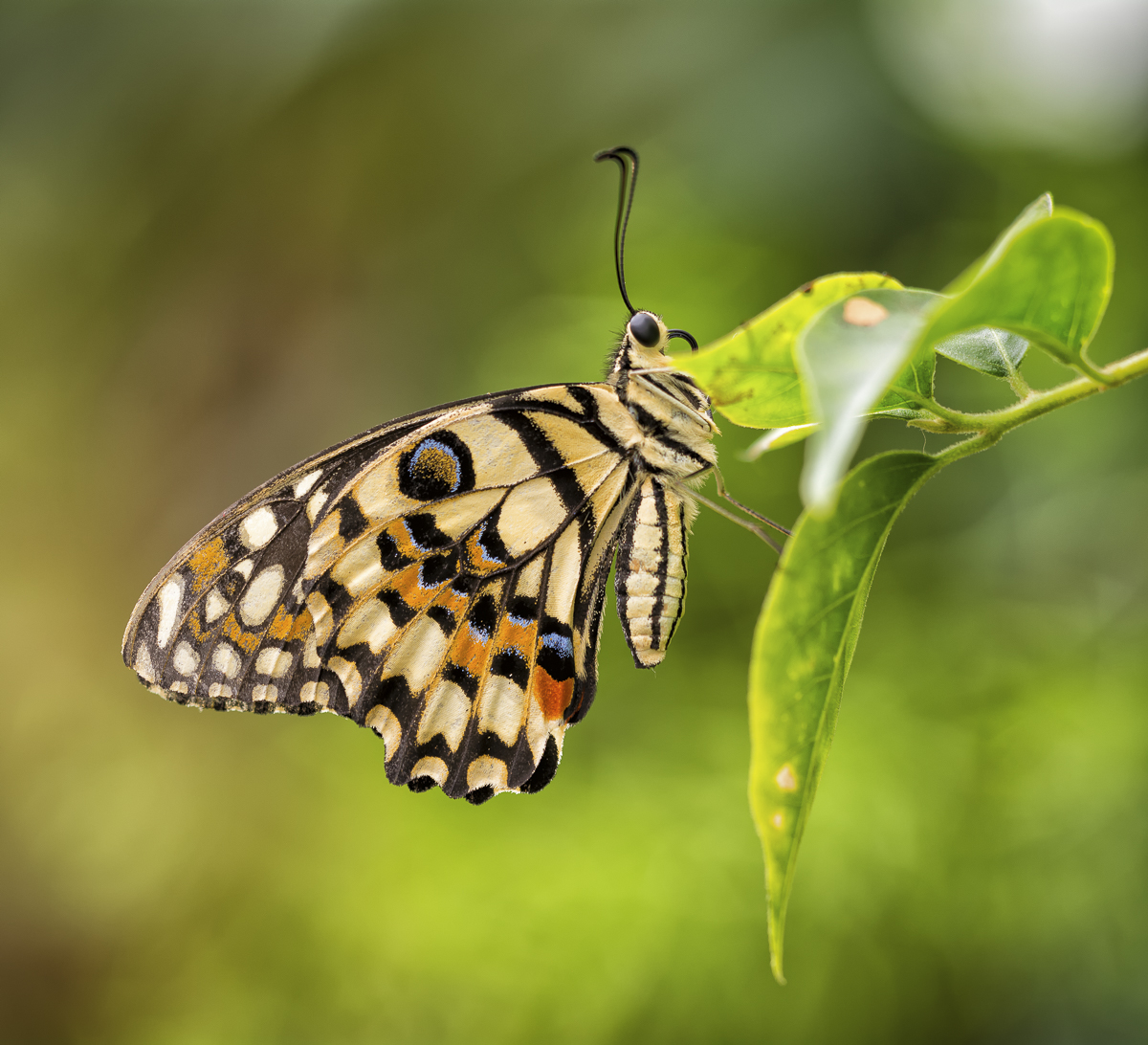 _D715582-Bearbeitet-2-Bearbeitet-Bearbeitet.jpg