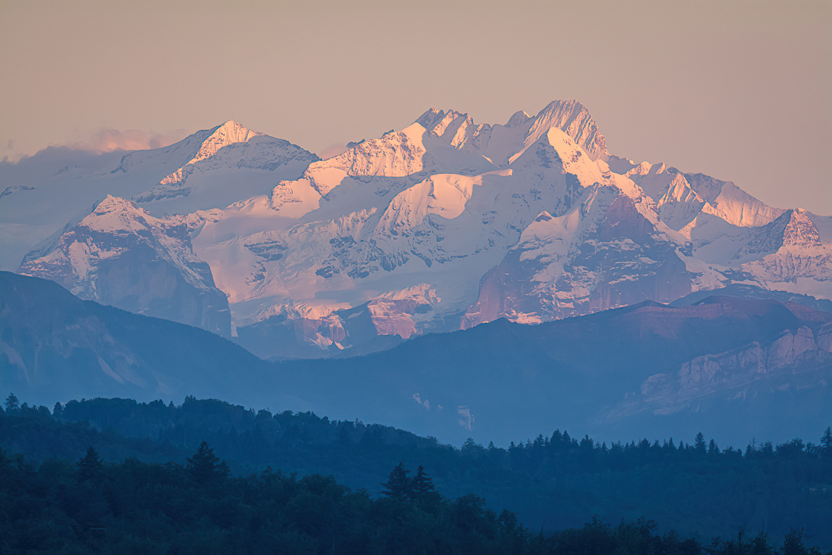 _D716159-DeNoiseAI-clear.jpg