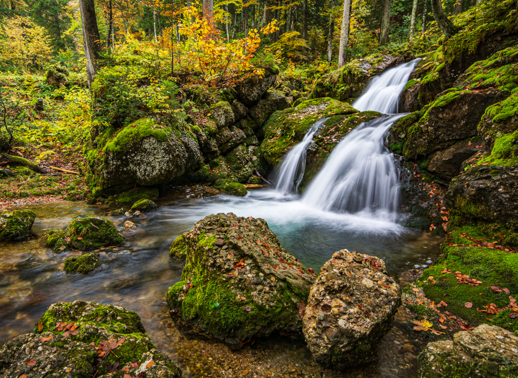 _D716800_2 (2).jpg