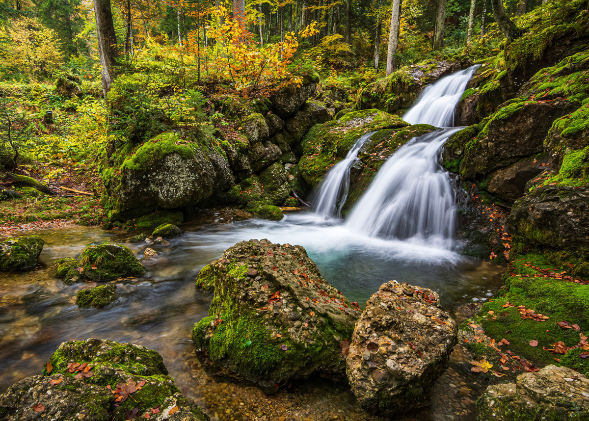 _D716800_2-DeNoiseAI.jpg