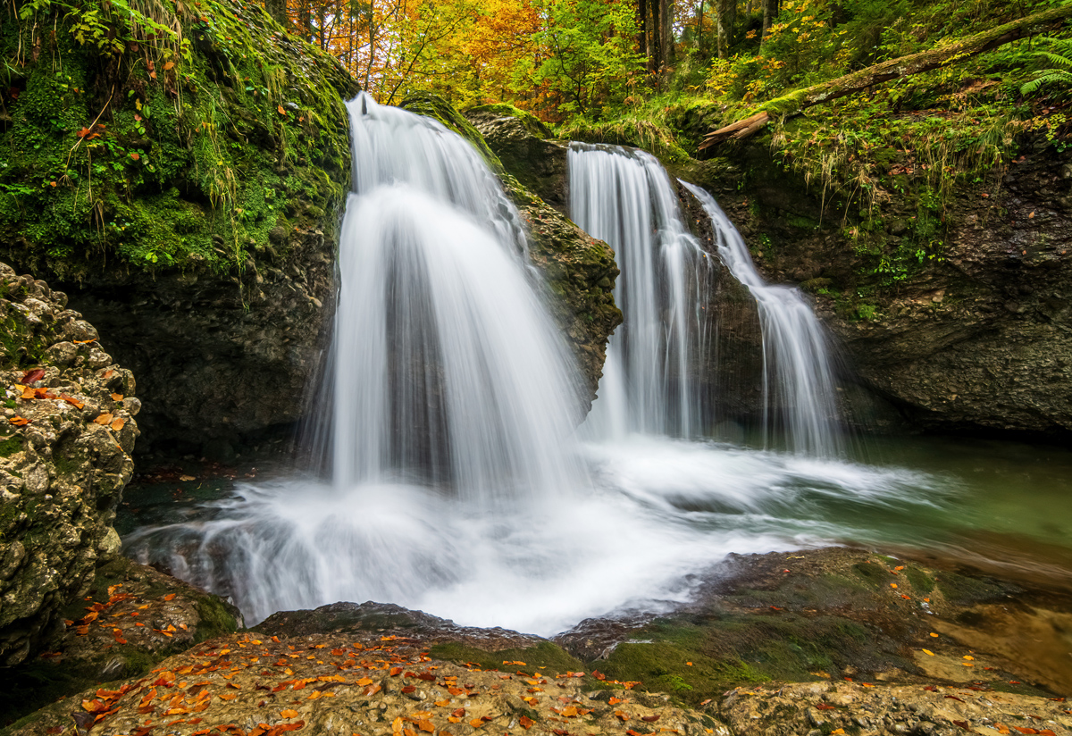 _D716822-DeNoiseAI.jpg