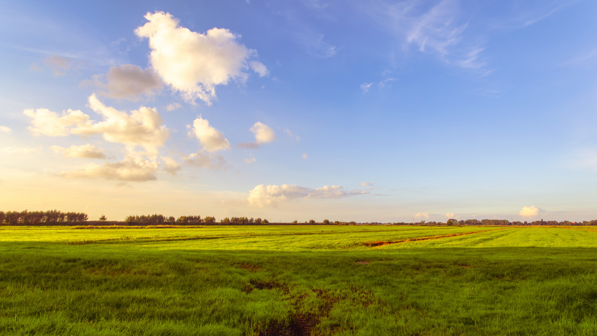 _D719250-_236#.JPG