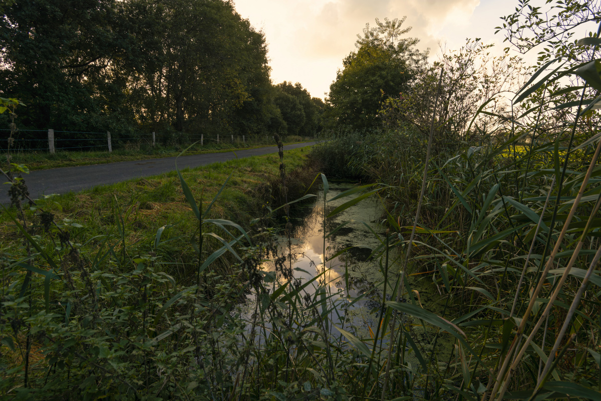 _D719251-_237#.JPG