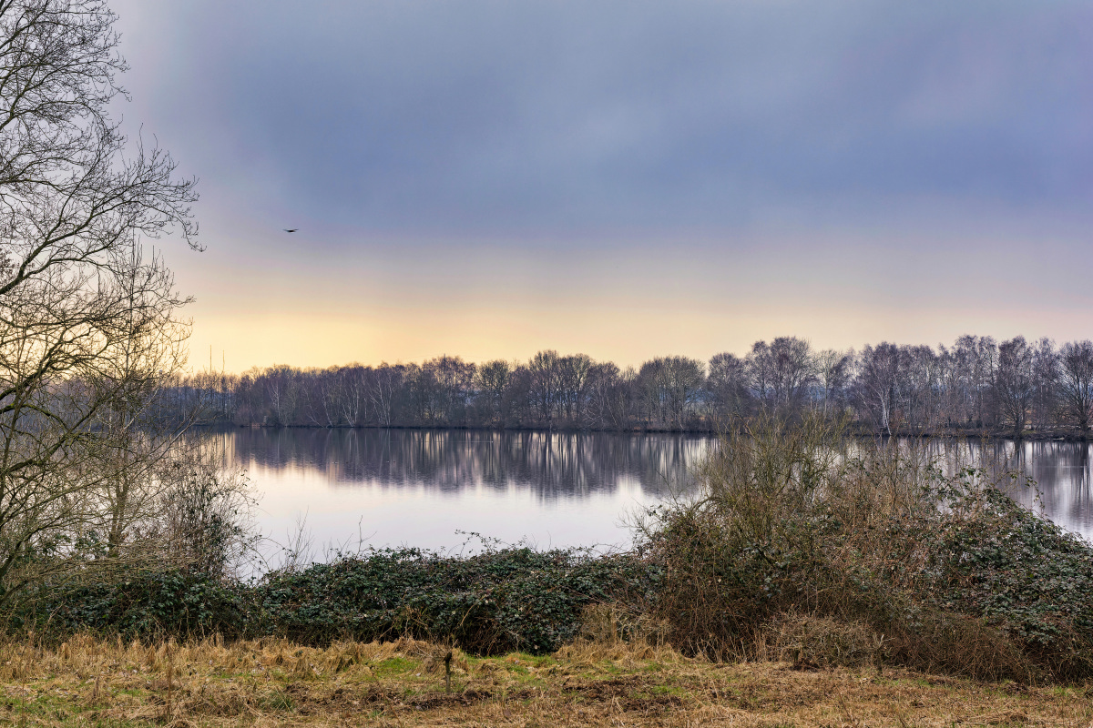 _D719327-_465#.JPG
