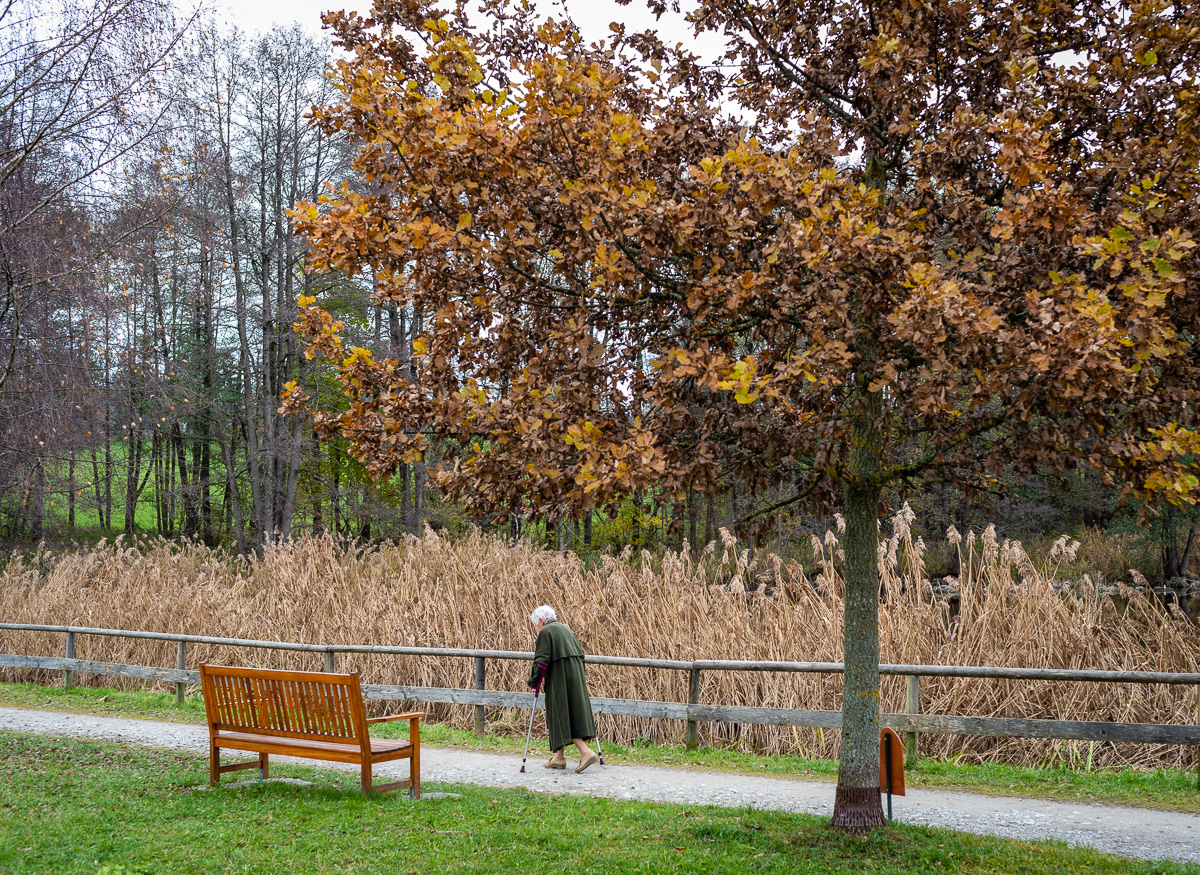 _D750590.jpg