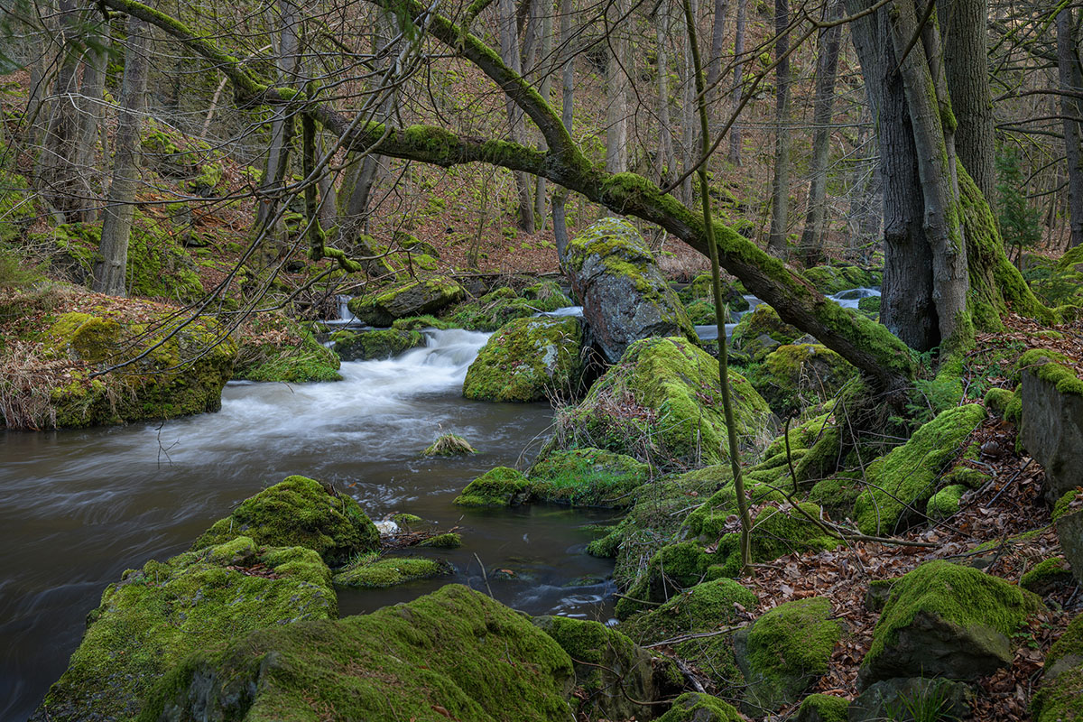 _D852117.jpg