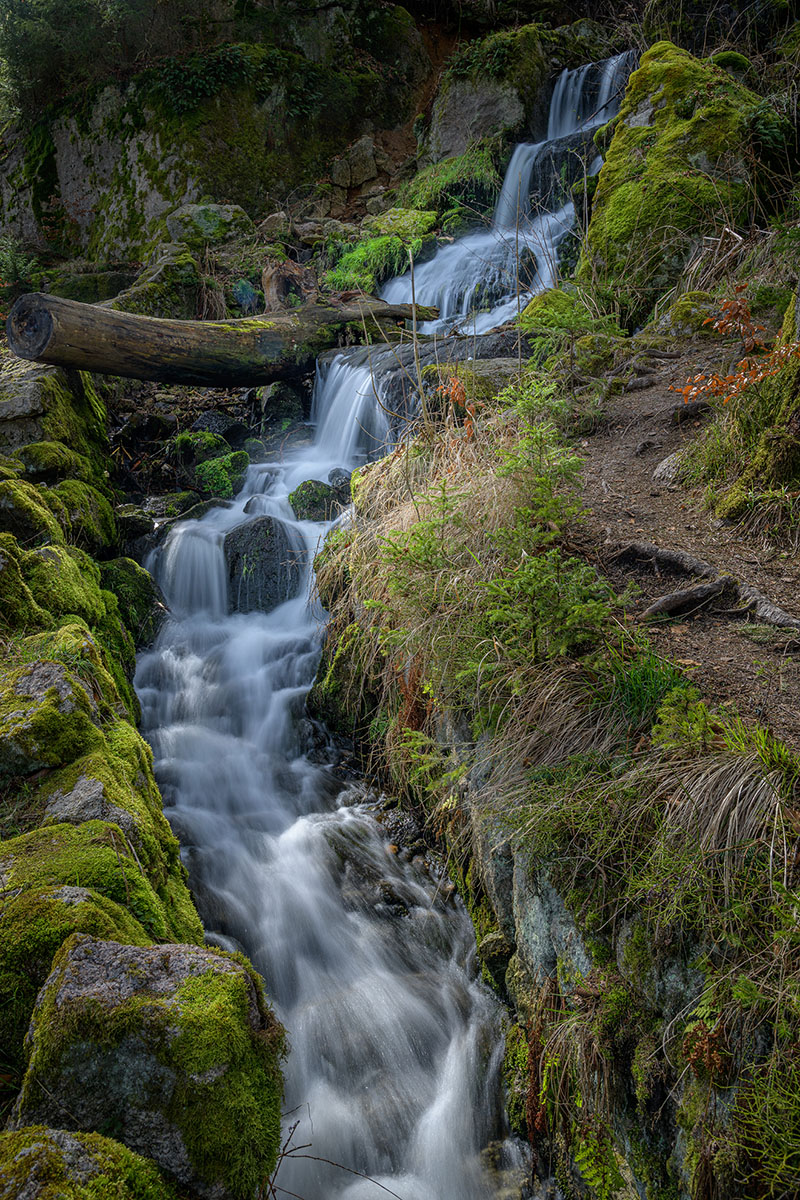 _D852296.jpg