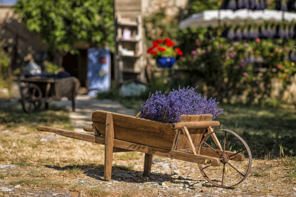 _D8E6542-Bearbeitet-Bearbeitet-2-Bearbeitet.jpg