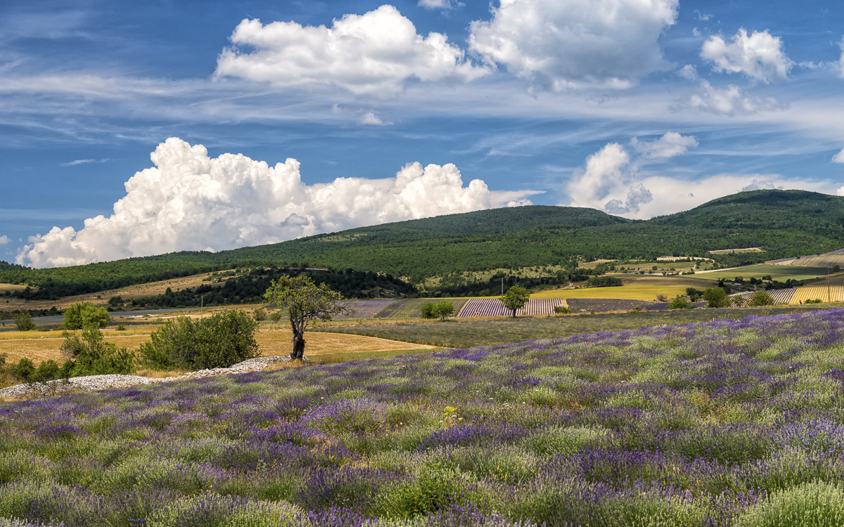 _D8E6572-Bearbeitet-Bearbeitet-Bearbeitet.jpg