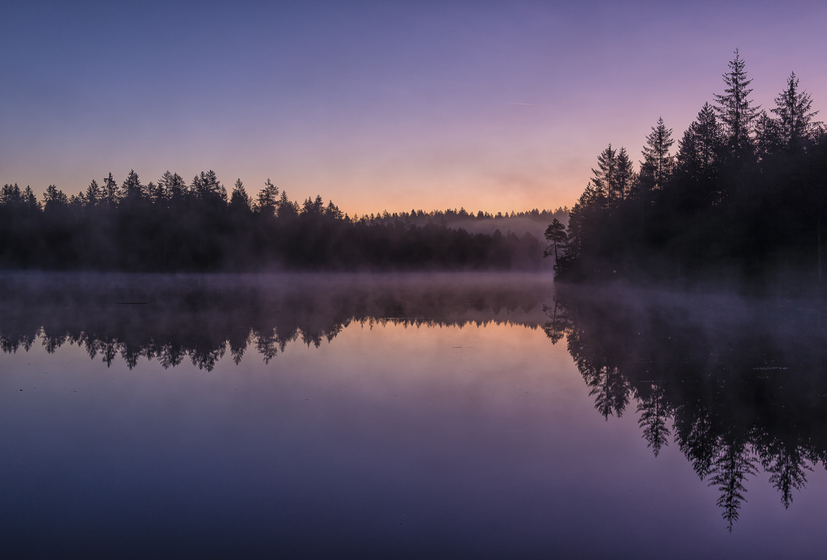 _D8E6816-Bearbeitet-Bearbeitet-Bearbeitet-Bearbeitet.jpg