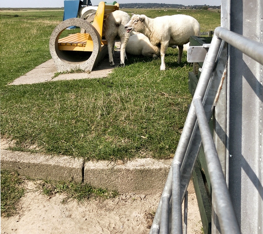 _Die Bank auf dem Deich in Husum mit Blick ins Land.jpg