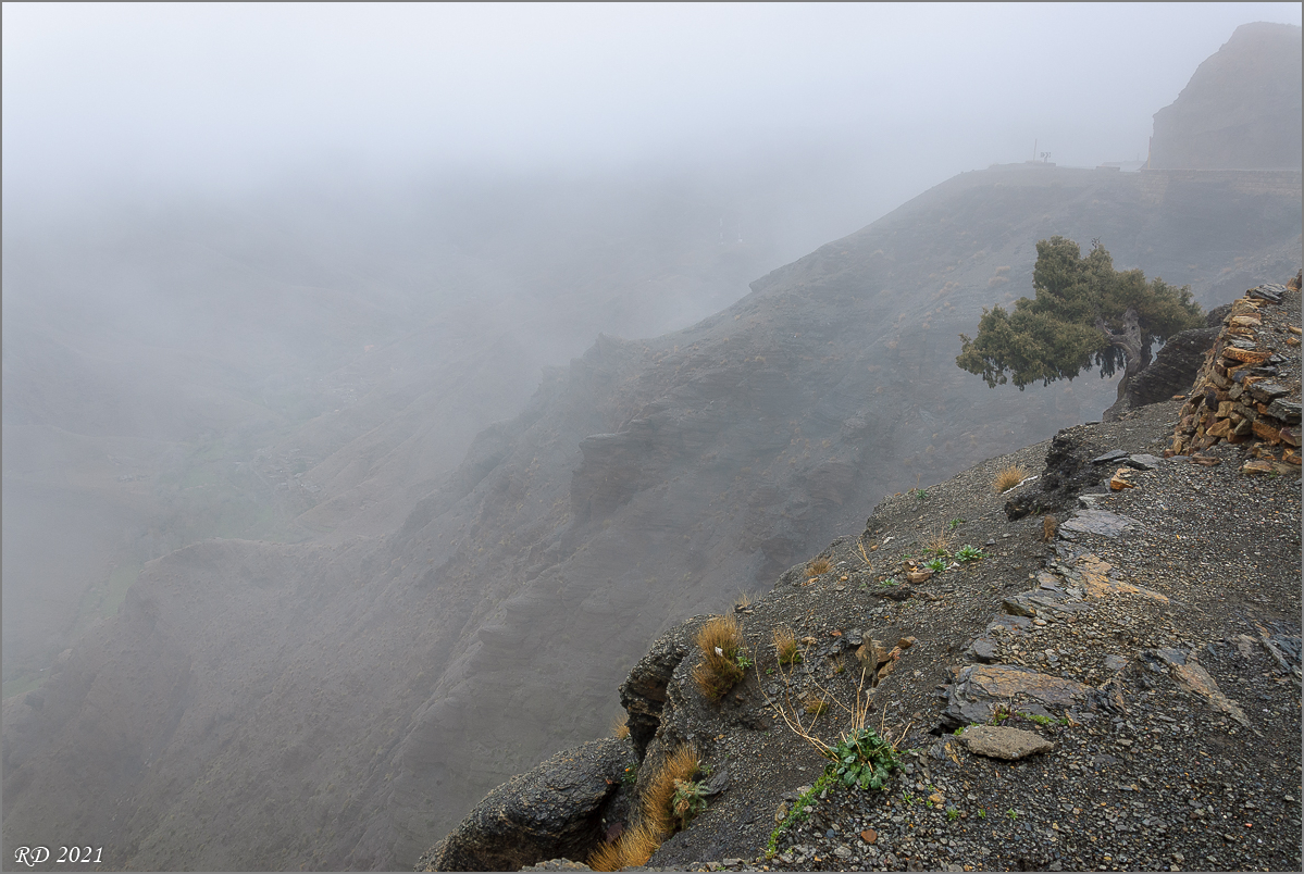 _DS24381.jpg