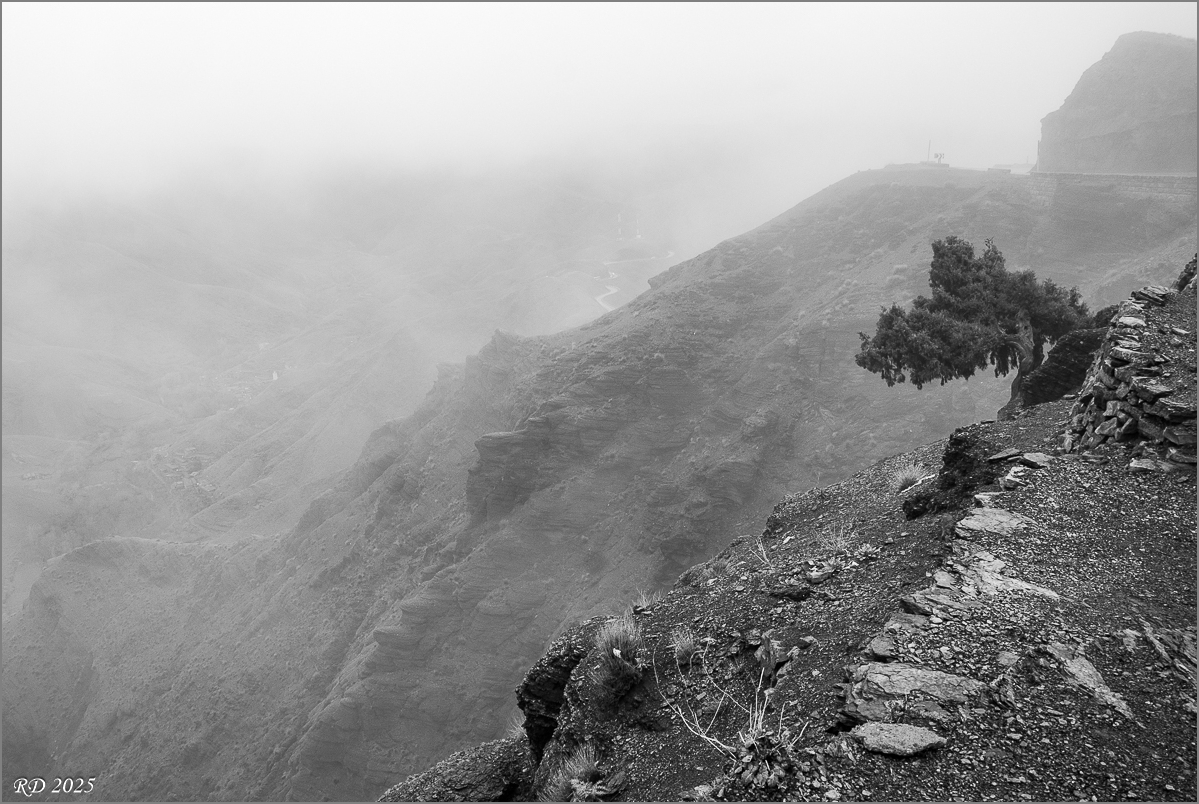 _DS24381.jpg