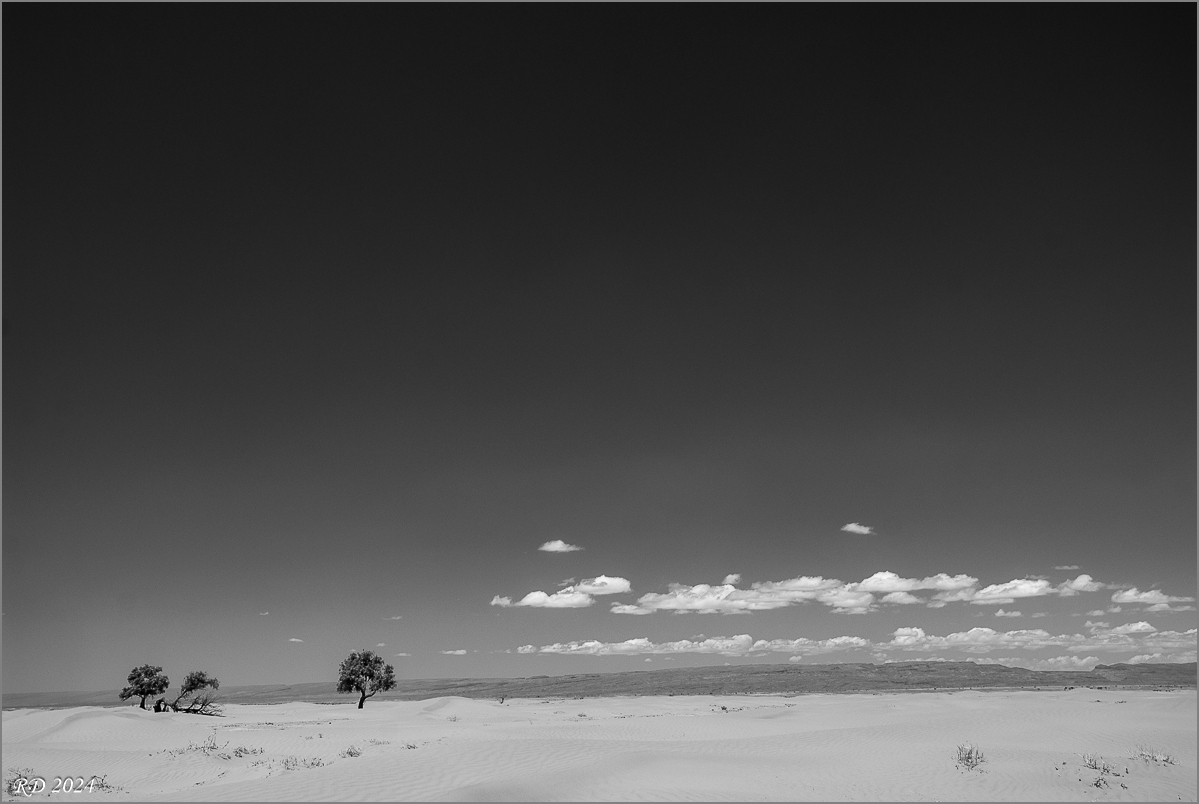 _DS24847.jpg
