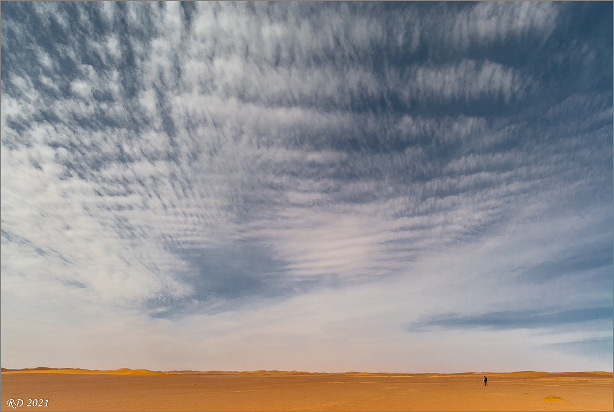 _DS25270.jpg