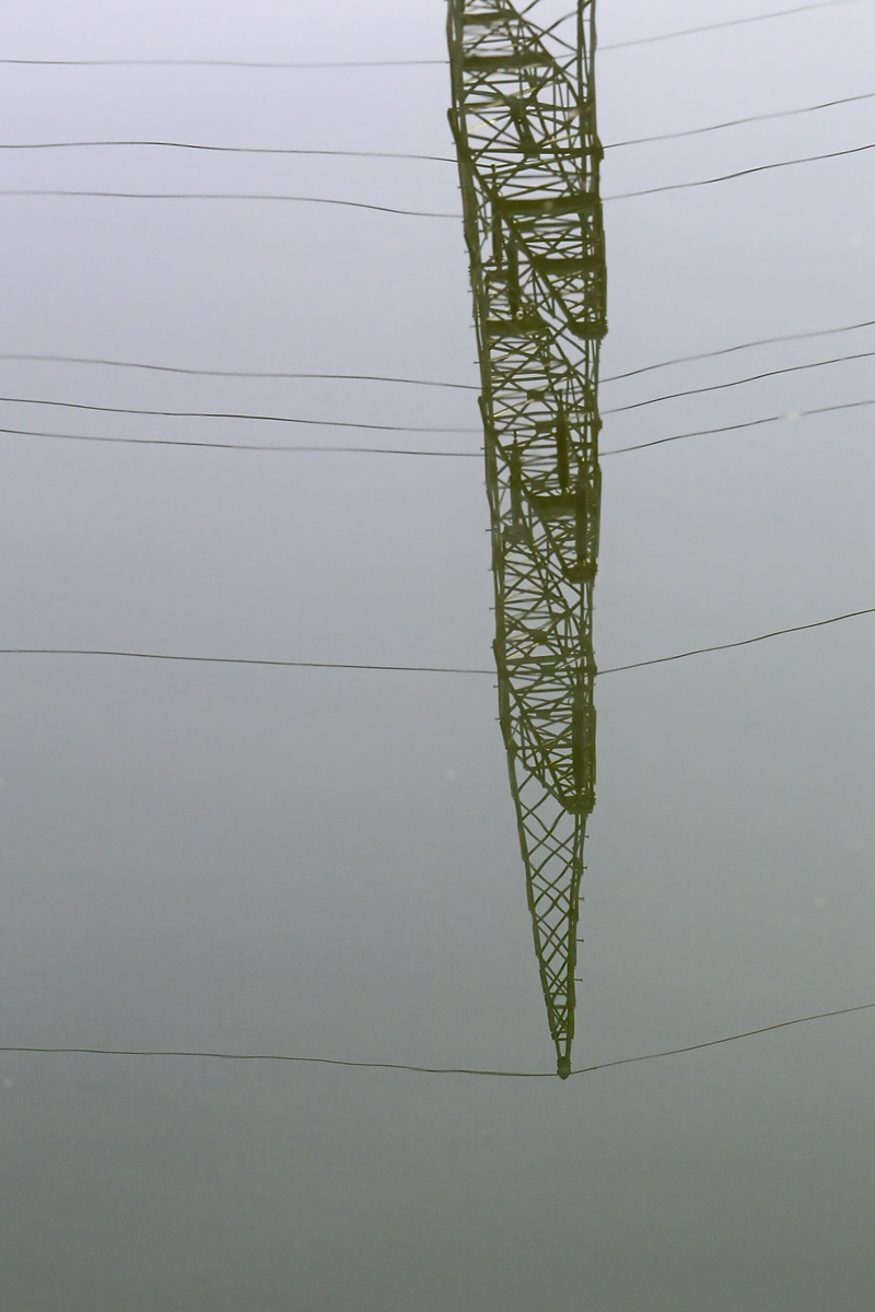 _DSC0040Kxl.jpg